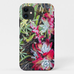 Coast Dudleya At Point Reyes National Seashore iPhone 11 Case