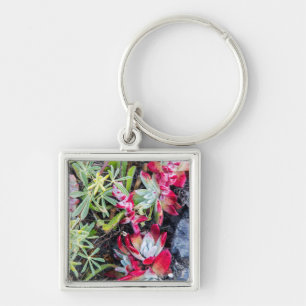 Coast Dudleya At Point Reyes National Seashore Key Ring