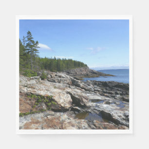 Coast of Bar Island at Acadia National Park Napkin