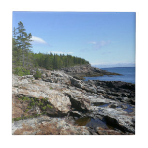 Coast of Bar Island at Acadia National Park Tile