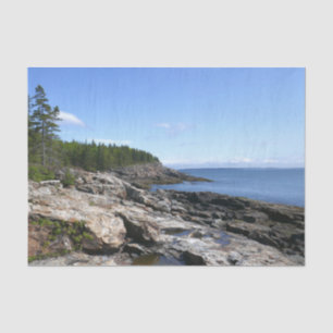 Coast of Bar Island at Acadia National Park Tissue Paper