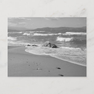 Coast Postcard