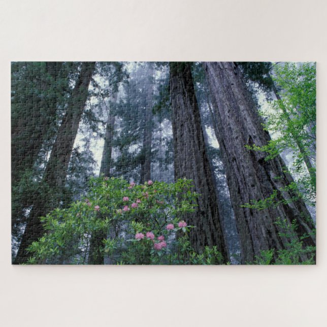 Coast Redwoods and Rhododendrons Jigsaw Puzzle (Horizontal)