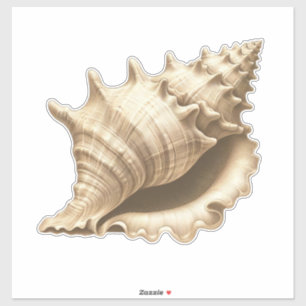 Coastal/beach/nautical seashell