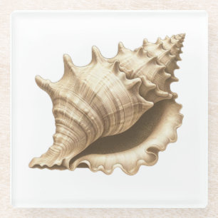 Coastal/beach/nautical seashell  glass coaster