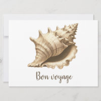 Coastal/beach/nautical seashell 