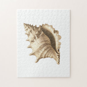 Coastal/beach/nautical seashell  jigsaw puzzle