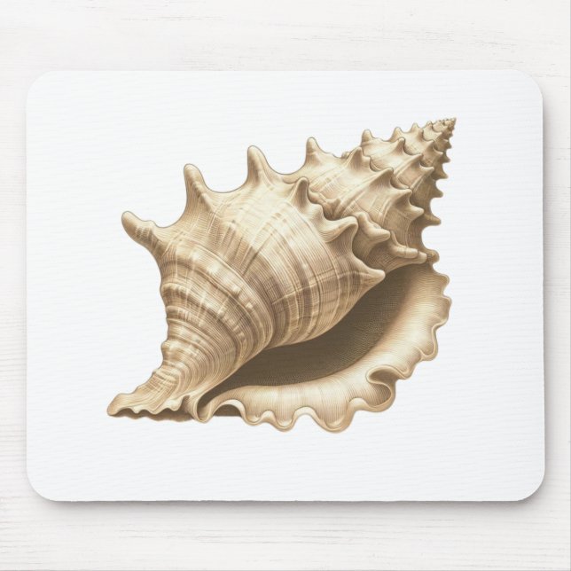 Coastal/beach/nautical seashell  mouse pad (Front)