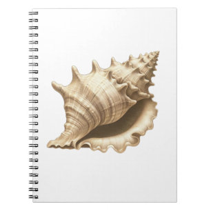 Coastal/beach/nautical seashell  notebook