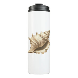 Coastal/beach/nautical seashell thermal tumbler
