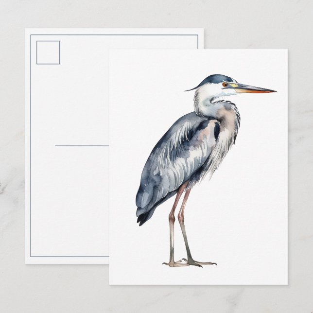 Coastal Blue Heron Bird Postcard (Front/Back)