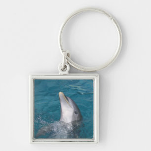 Coastal Bottlenose Dolphin Key Ring