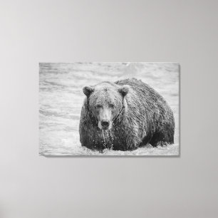 Coastal Brown Bear Black and White Wildlife Canvas Print