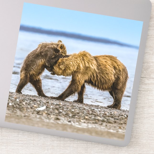 Coastal brown bears (Detail)