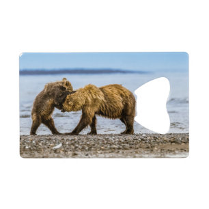 Coastal brown bears