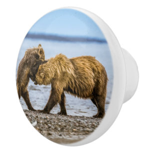 Coastal brown bears ceramic knob