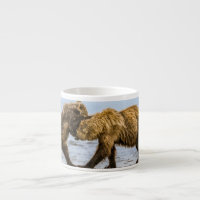 Coastal brown bears