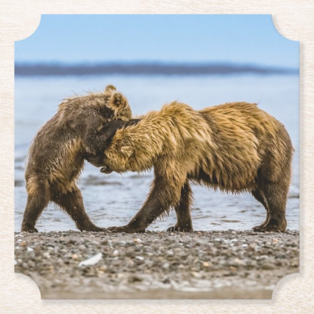 Coastal brown bears paper coaster (Front)