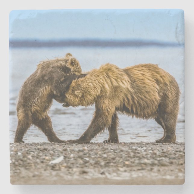 Coastal brown bears stone coaster (Front)