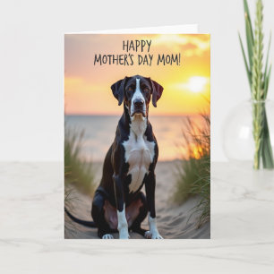 Coastal Canine Pattern Card