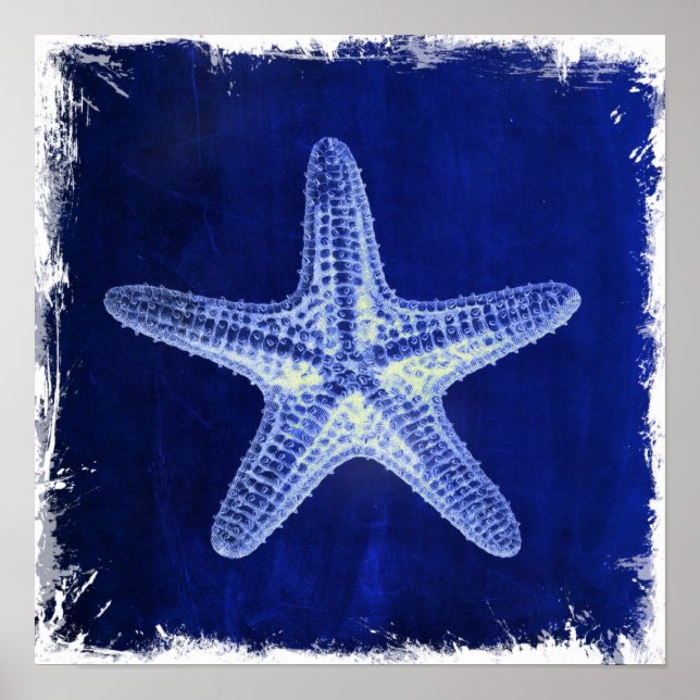 coastal chic beach rustic nautical blue starfish poster (Front)