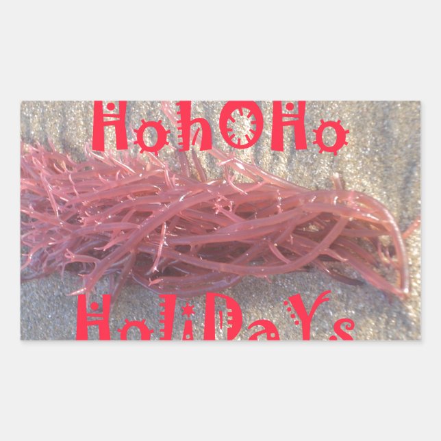 Coastal Christmas: Seaweed on Ash Gray Sand Festiv Rectangular Sticker (Front)