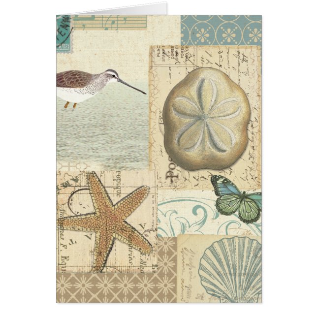 Coastal Collage (Front)