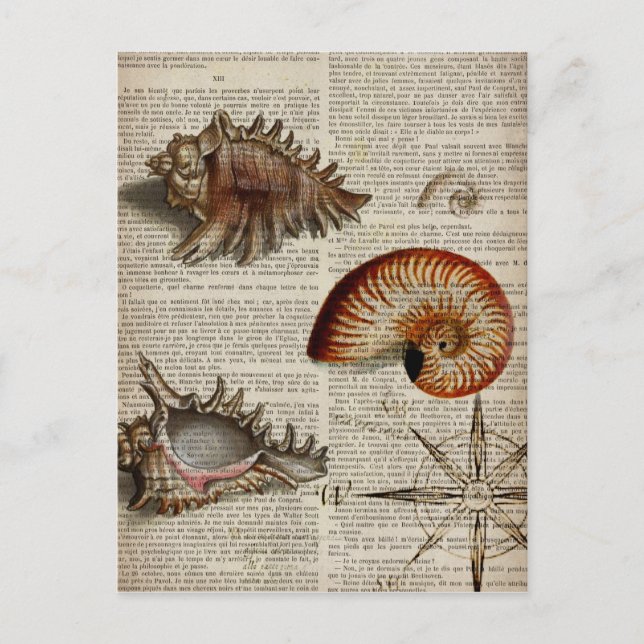 coastal conch vintage seashell botanical print postcard (Front)