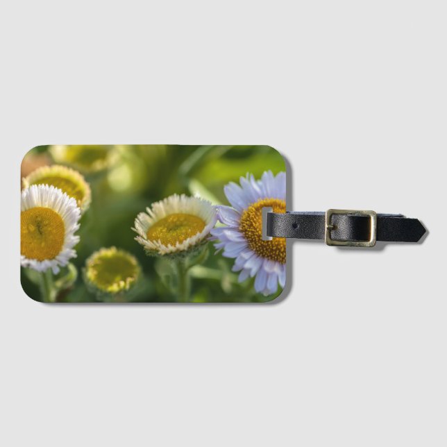 Coastal Daisies Blooming Luggage Tag (Front Horizontal)