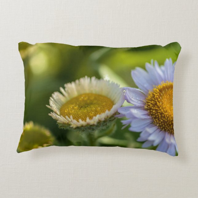 coastal Daisies Decorative Cushion (Back)