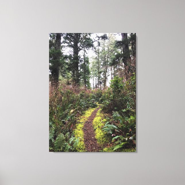 Coastal Forest Loop Trail, Cape Disappointment, WA Canvas Print (Front)