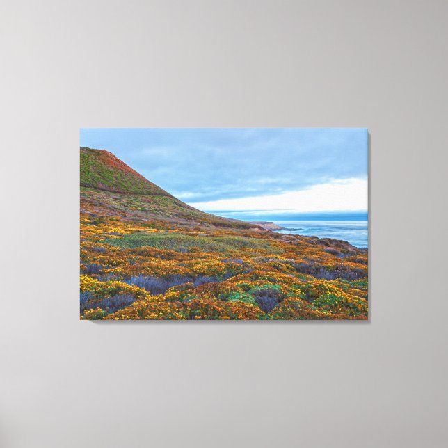 Coastal Hillside with Summer Wildflowers  Canvas Print (Front)