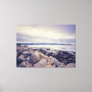 Coastal Morning Canvas Print