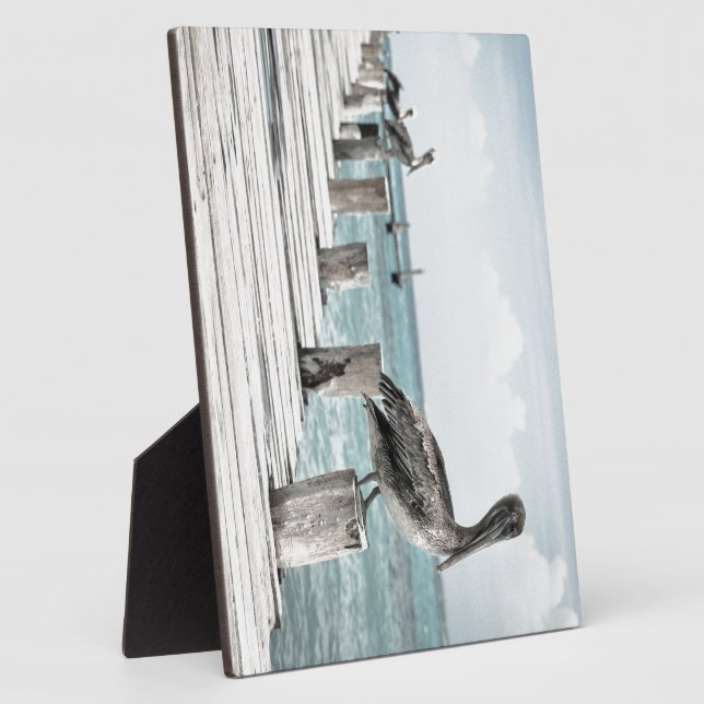 Coastal Ocean Pelican Plaque (Side)