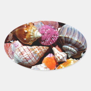 Coastal Ocean Sea Shell Pattern Oval Sticker