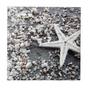 Coastal Ocean Sea Shell Pattern Tile