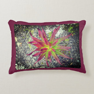 Coastal Paintbrush Pillow