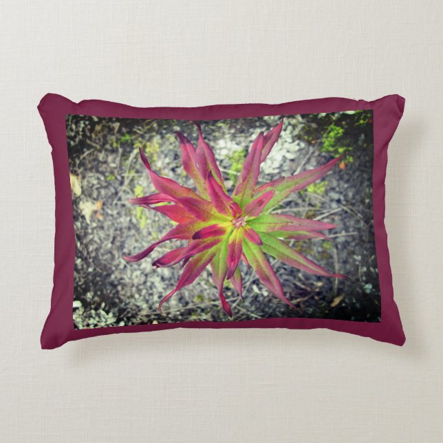 Coastal Paintbrush Pillow (Front)