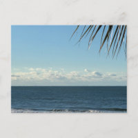 Coastal Palm Fronds & Ocean Waves Photography