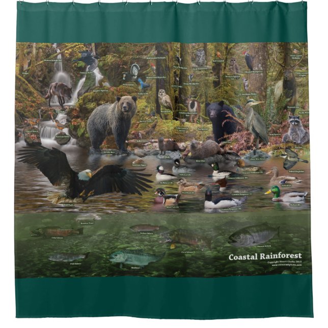Coastal Rainforest Shower Curtain (Front)
