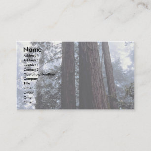 Coastal Redwoods, Lady Bird Johnson Grove, Califor Business Card
