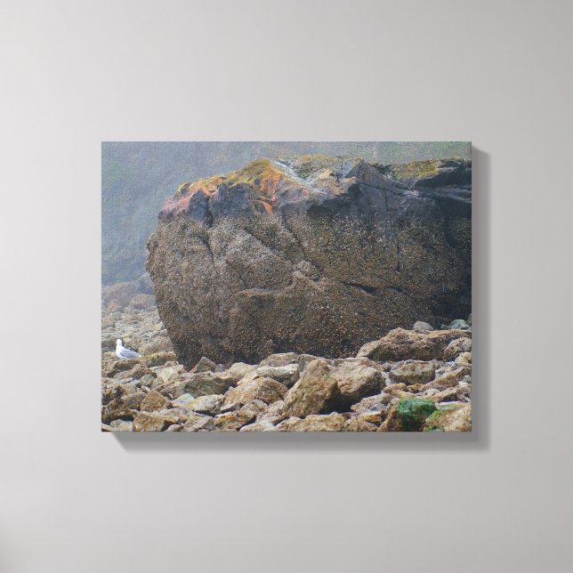 Coastal, rocky beach, boulder, seashore, unique canvas print (Front)