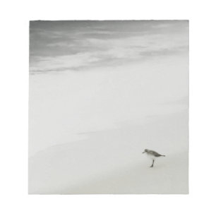 Coastal Sandpiper on the Beach Notepad