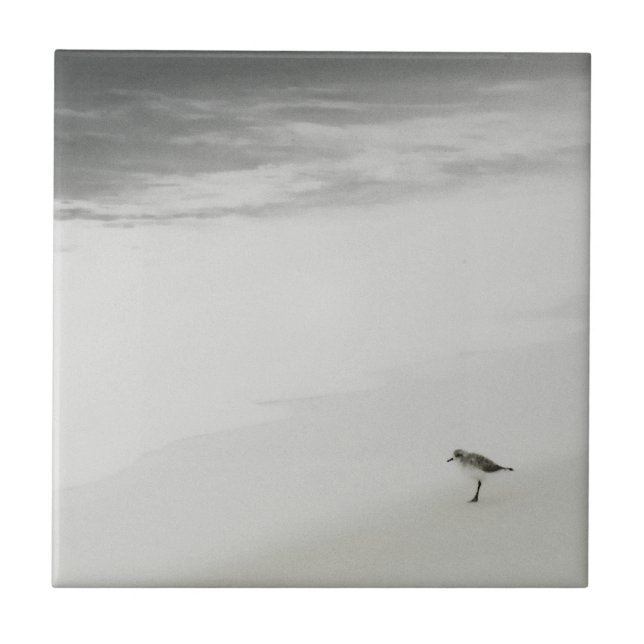 Coastal Sandpiper on the Beach Tile (Front)