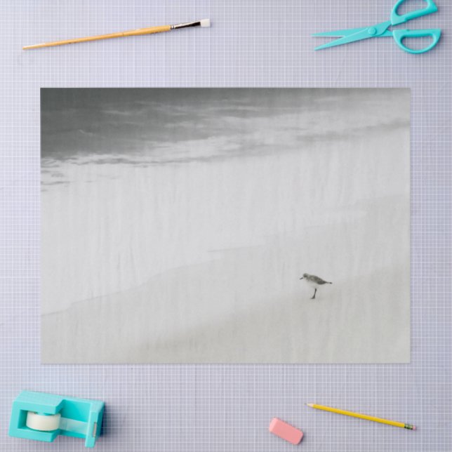 Coastal Sandpiper on the Beach Tissue Paper (Craft)