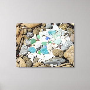 Coastal Sea Shells Driftwood Fossils Sea Glass Canvas Print
