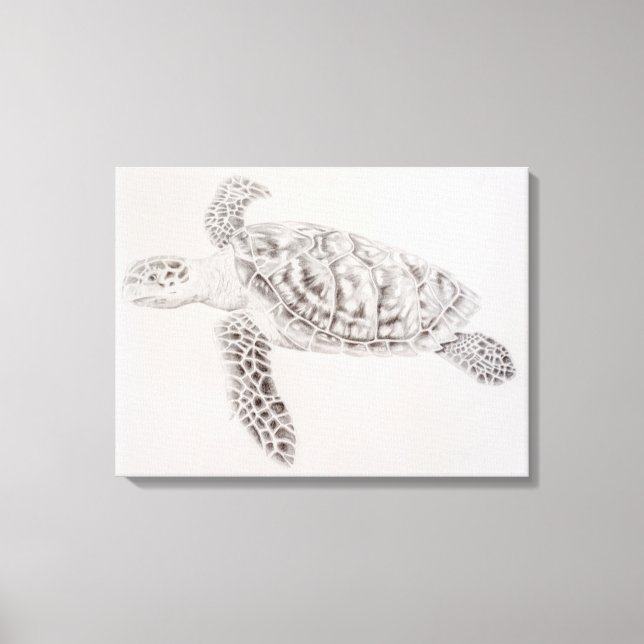 Coastal Sea Turtle Drawing Canvas Print (Front)