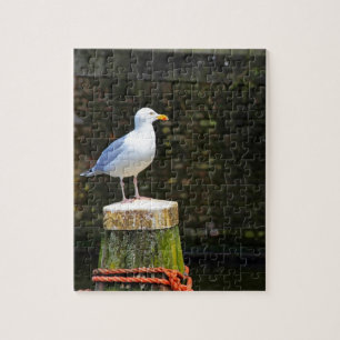 Coastal Seagull Bird and Ocean Wildlife Photo Jigsaw Puzzle