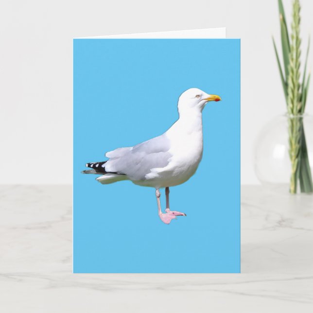 Coastal Seagull Bird Illustration, Beach & Nature  Card (Front)