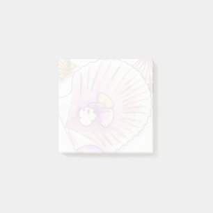 Coastal Seashell Collection Nautical Sticy Notes